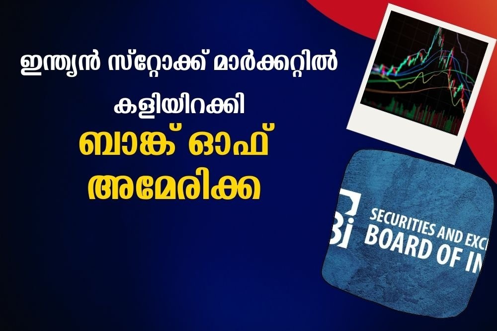 സെബിയുടെ കണ്ടെത്തൽ ഇങ്ങനെ